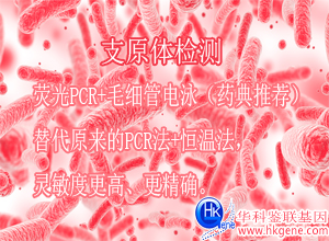 支原體檢測