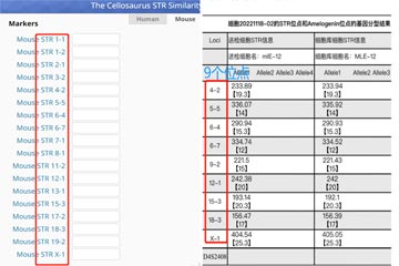 小鼠細胞STR鑒定的檢測問題及誤區