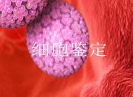 為什么要進行細胞鑒定？