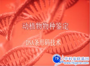 動植物物種鑒定