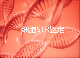 細胞STR鑒定是什么？